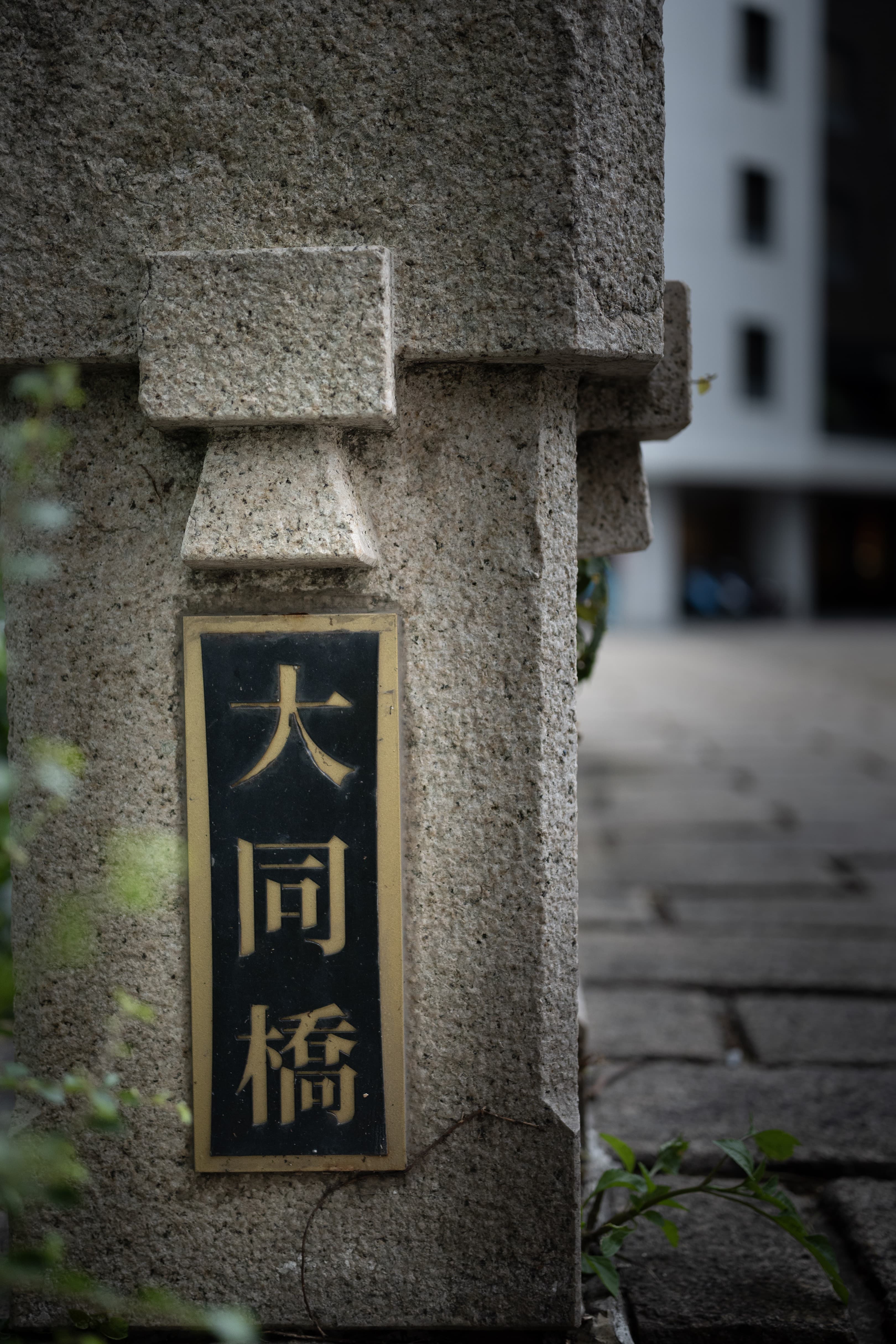 大同橋 街拍照片
