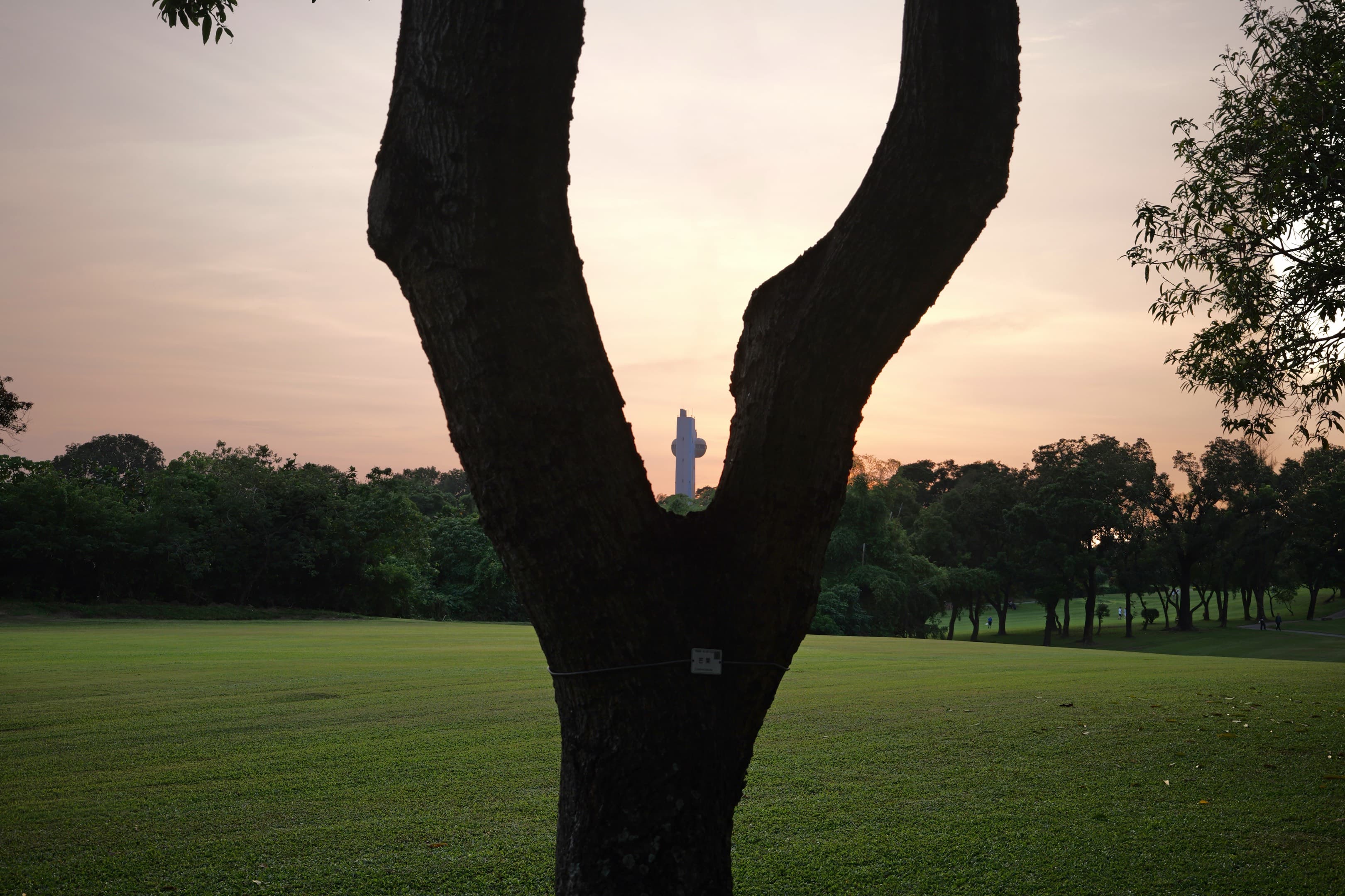 果嶺自然公園 街拍照片
