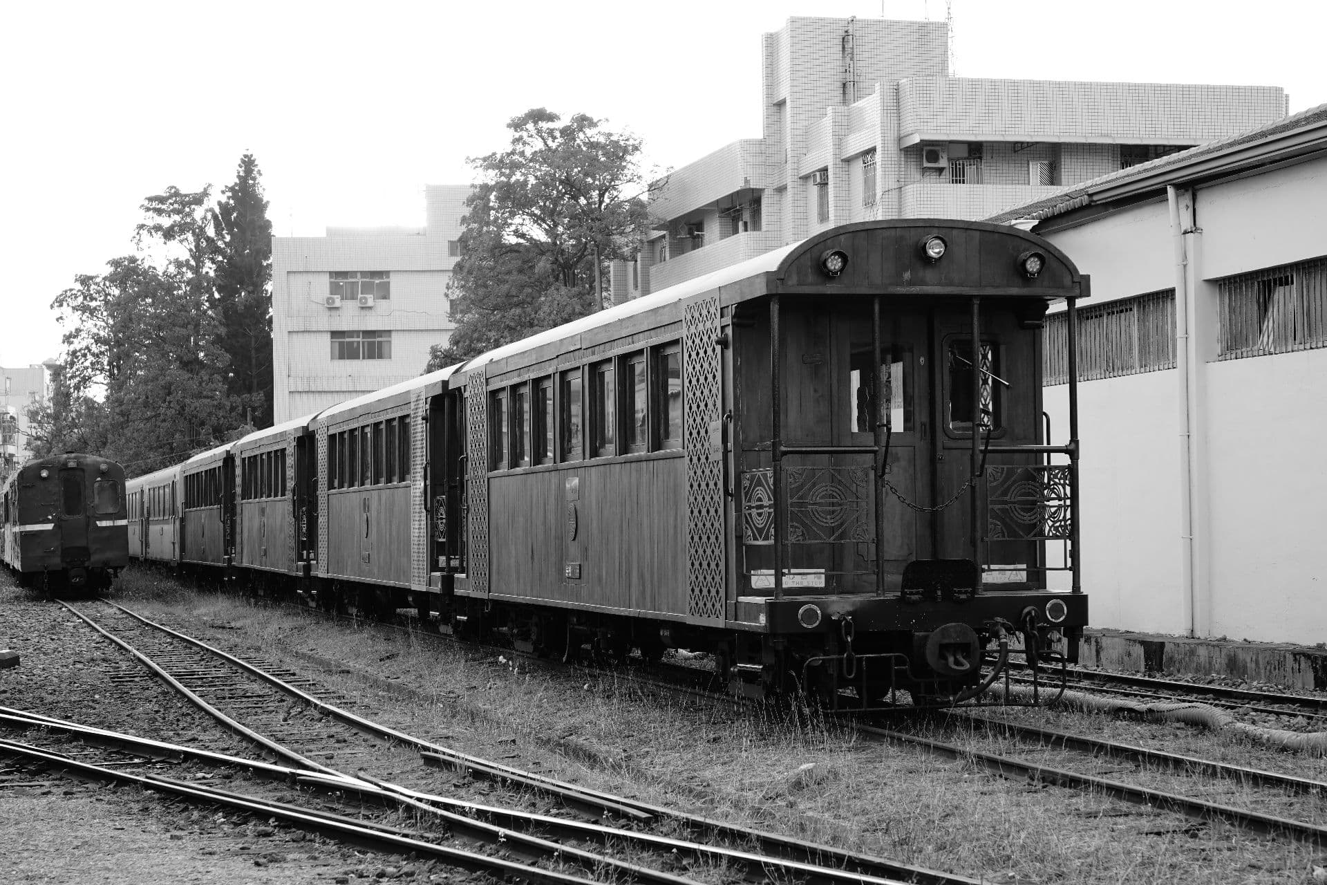 阿里山森林
鐵路車庫園區 街拍照片